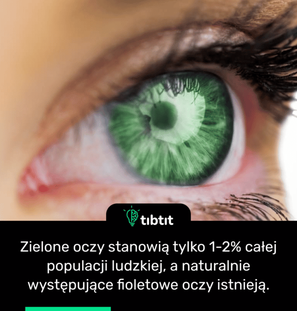 Zielone oczy stanowią tylko 1-2% całej populacji ludzkiej, a naturalnie występujące fioletowe oczy istnieją.