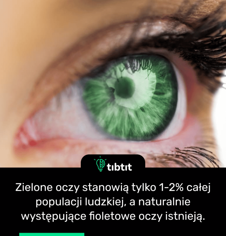 Zielone oczy stanowią tylko 1-2% całej populacji ludzkiej, a naturalnie występujące fioletowe oczy istnieją.