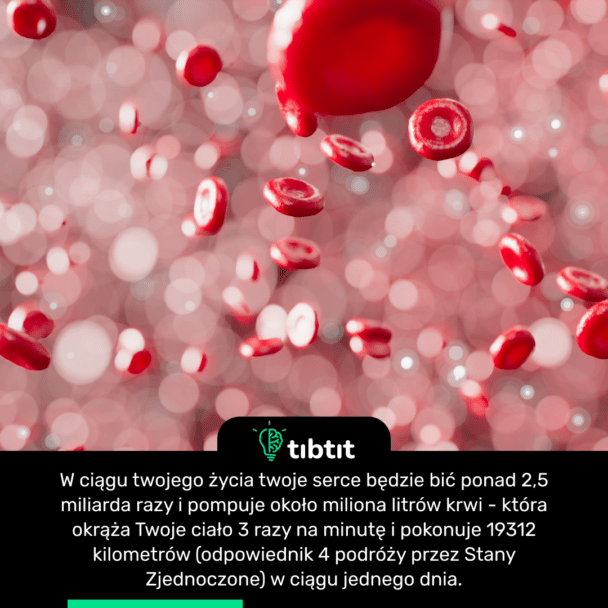 W ciągu twojego życia twoje serce będzie bić ponad 2,5 miliarda razy i pompuje około miliona litrów krwi - która okrąża Twoje ciało 3 razy na minutę i pokonuje 19312 kilometrów (odpowiednik 4 podróży przez Stany Zjednoczone) w ciągu jednego dnia.
