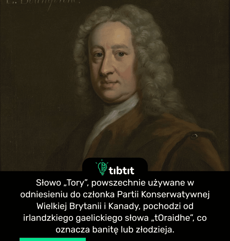 Słowo „Tory”, powszechnie używane w odniesieniu do członka Partii Konserwatywnej Wielkiej Brytanii i Kanady, pochodzi od irlandzkiego gaelickiego słowa „tOraidhe”, co oznacza banitę lub złodzieja.