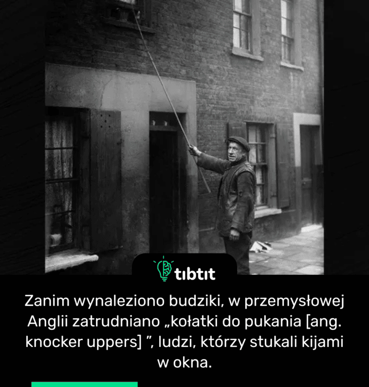 Zanim wynaleziono budziki, w przemysłowej Anglii zatrudniano „kołatki do pukania [ang. knocker uppers] ”, ludzi, którzy stukali kijami w okna.