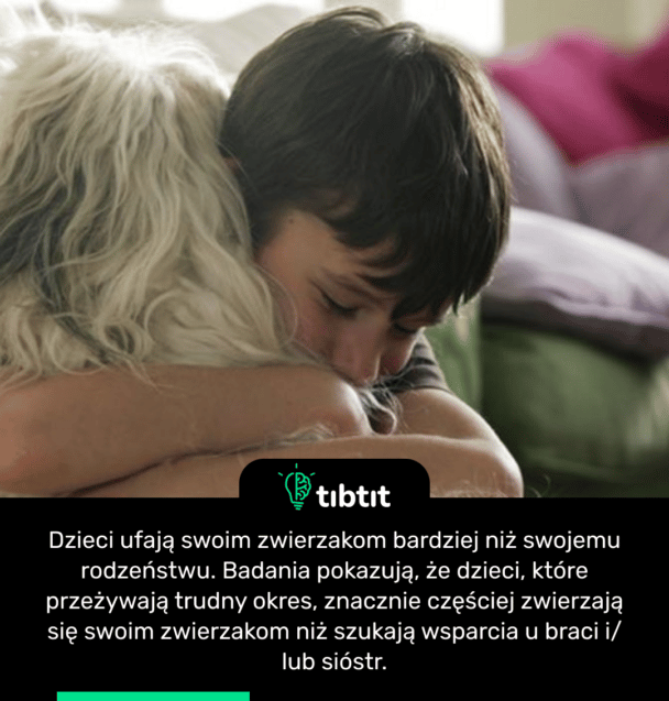 Dzieci ufają swoim zwierzakom bardziej niż swojemu rodzeństwu. Badania pokazują, że dzieci, które przeżywają trudny okres, znacznie częściej zwierzają się swoim zwierzakom niż szukają wsparcia u braci i/lub sióstr.