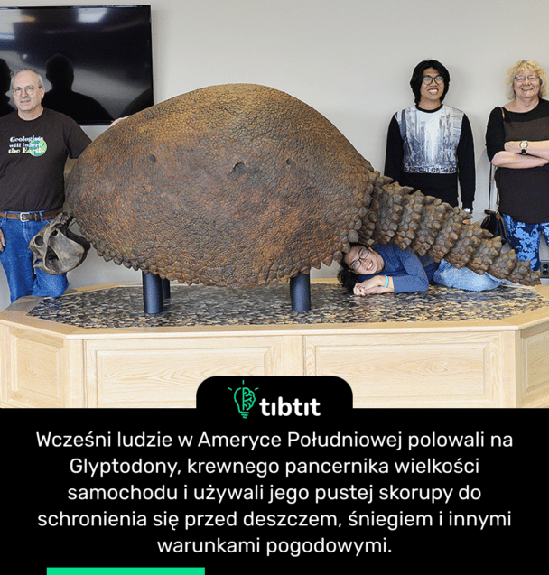 Wcześni ludzie w Ameryce Południowej polowali na Glyptodony, krewnego pancernika wielkości samochodu i używali jego pustej skorupy do schronienia się przed deszczem, śniegiem i innymi warunkami pogodowymi.