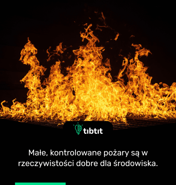 Małe, kontrolowane pożary są w rzeczywistości dobre dla środowiska.