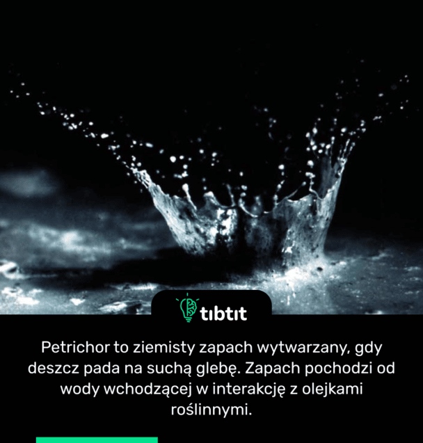 Petrichor to ziemisty zapach wytwarzany, gdy deszcz pada na suchą glebę. Zapach pochodzi od wody wchodzącej w interakcję z olejkami roślinnymi.