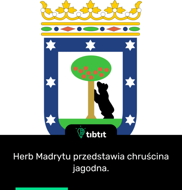 Herb Madrytu przedstawia chruścina jagodna.