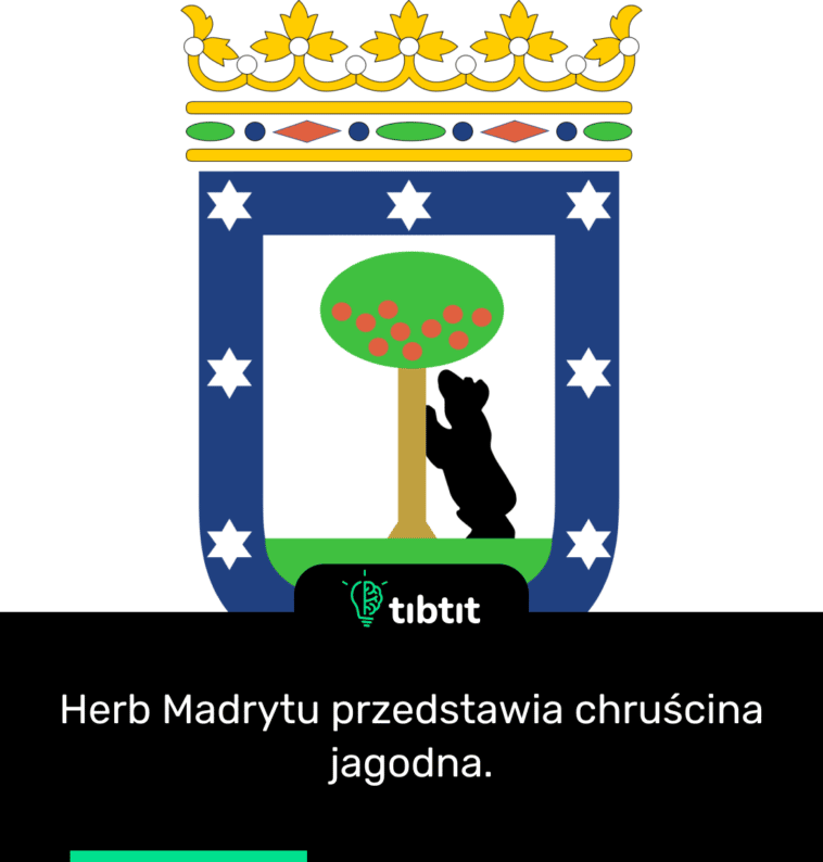 Herb Madrytu przedstawia chruścina jagodna.