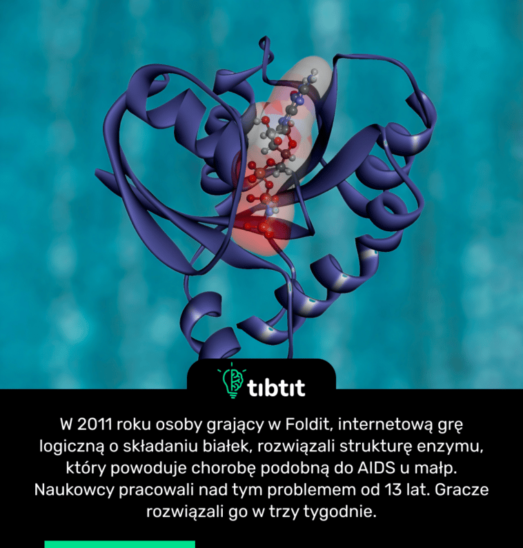 W 2011 roku osoby grający w Foldit, internetową grę logiczną o składaniu białek, rozwiązali strukturę enzymu, który powoduje chorobę podobną do AIDS u małp. Naukowcy pracowali nad tym problemem od 13 lat. Gracze rozwiązali go w trzy tygodnie.