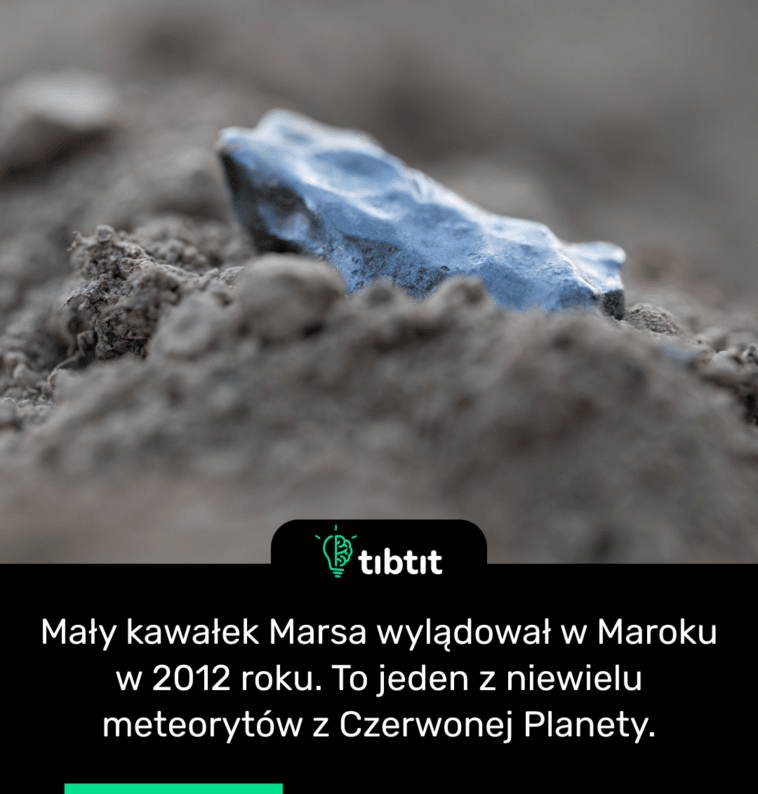 Mały kawałek Marsa wylądował w Maroku w 2012 roku. To jeden z niewielu meteorytów z Czerwonej Planety.
