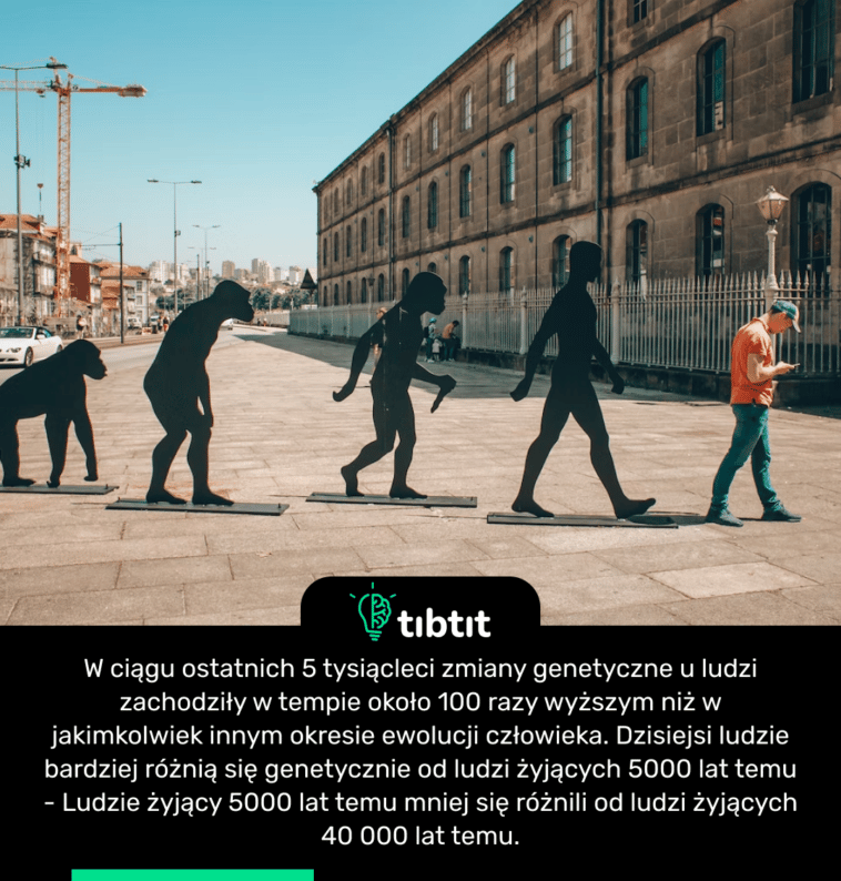 W ciągu ostatnich 5 tysiącleci zmiany genetyczne u ludzi zachodziły w tempie około 100 razy wyższym niż w jakimkolwiek innym okresie ewolucji człowieka. Dzisiejsi ludzie bardziej różnią się genetycznie od ludzi żyjących 5000 lat temu - Ludzie żyjący 5000 lat temu mniej się różnili od ludzi żyjących 40 000 lat temu.