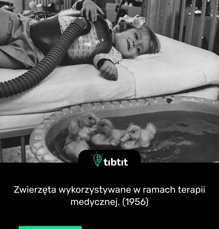 Zwierzęta wykorzystywane w ramach terapii medycznej. (1956)
