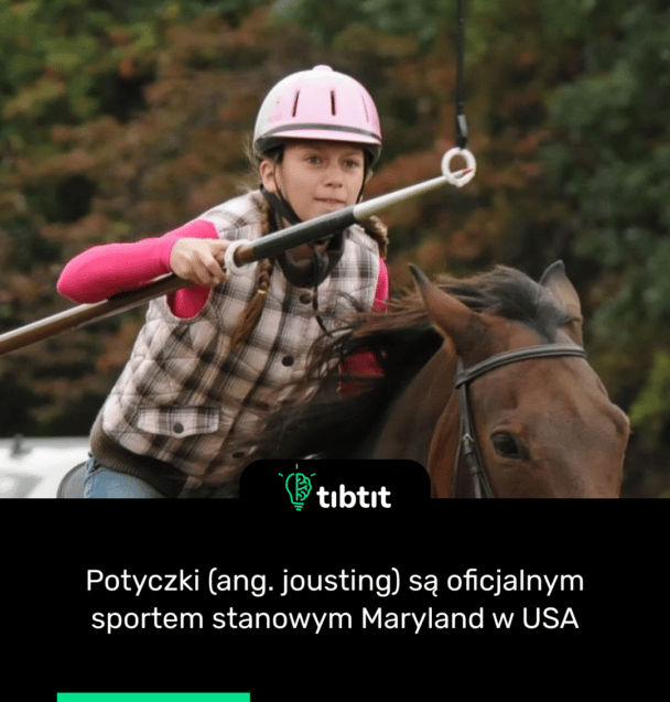 Potyczki (ang. jousting) są oficjalnym sportem stanowym Maryland w USA