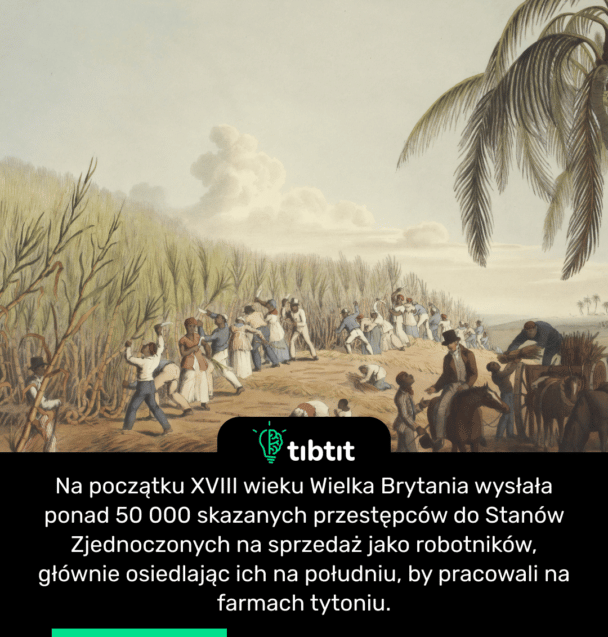 Na początku XVIII wieku Wielka Brytania wysłała ponad 50 000 skazanych przestępców do Stanów Zjednoczonych na sprzedaż jako robotników, głównie osiedlając ich na południu, by pracowali na farmach tytoniu.