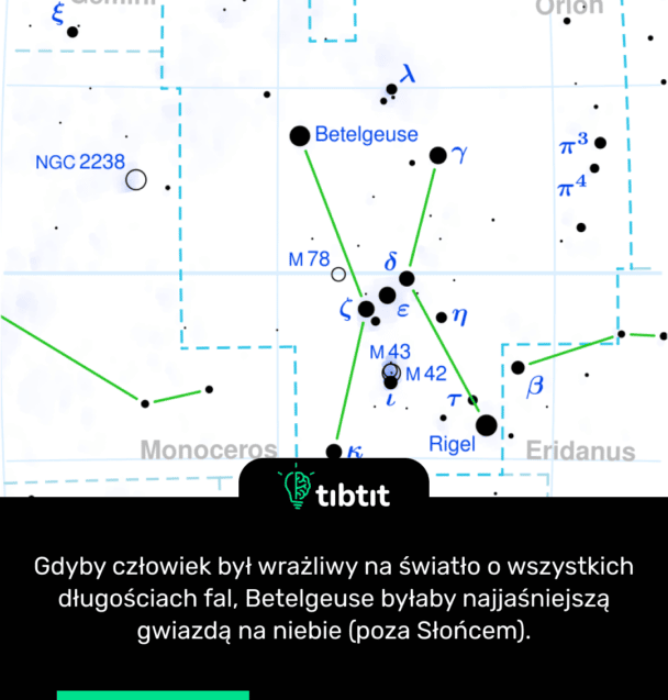 Gdyby człowiek był wrażliwy na światło o wszystkich długościach fal, Betelgeuse byłaby najjaśniejszą gwiazdą na niebie (poza Słońcem).