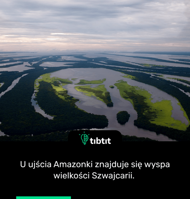 U ujścia Amazonki znajduje się wyspa wielkości Szwajcarii.