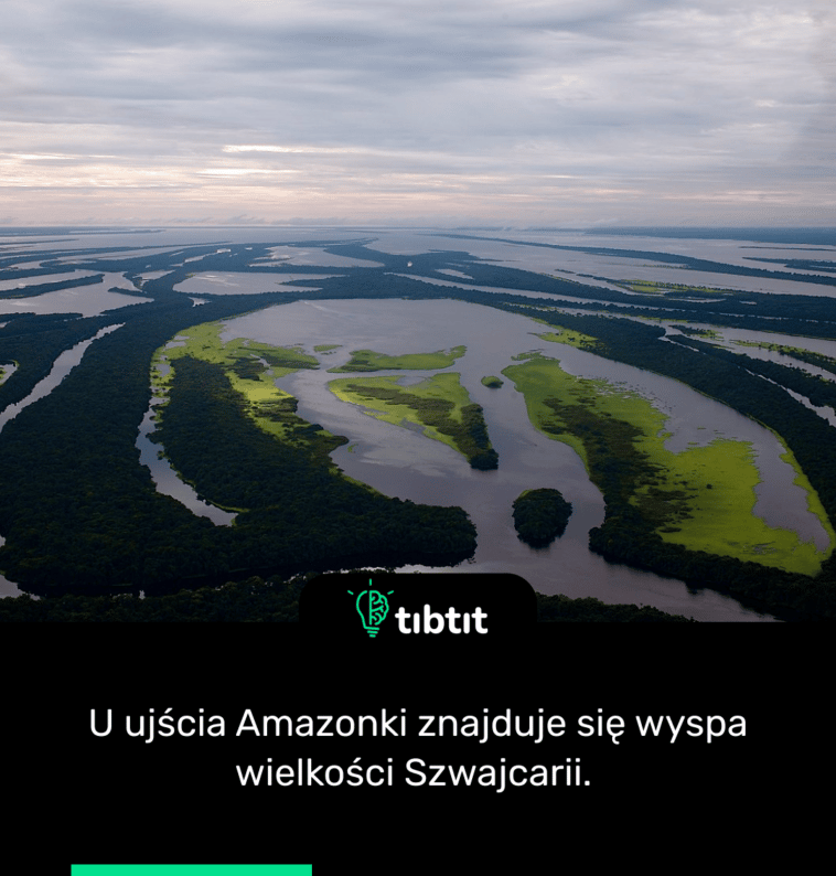 U ujścia Amazonki znajduje się wyspa wielkości Szwajcarii.