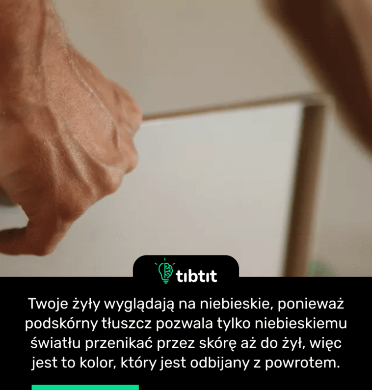 Twoje żyły wyglądają na niebieskie, ponieważ podskórny tłuszcz pozwala tylko niebieskiemu światłu przenikać przez skórę aż do żył, więc jest to kolor, który jest odbijany z powrotem.