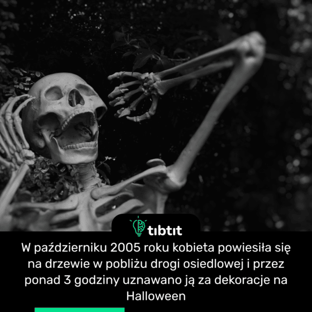 W październiku 2005 roku kobieta powiesiła się na drzewie w pobliżu drogi osiedlowej i przez ponad 3 godziny uznawano ją za dekoracje na Halloween