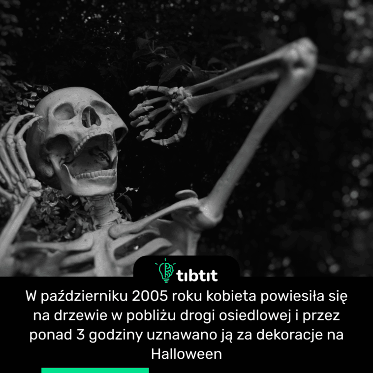 W październiku 2005 roku kobieta powiesiła się na drzewie w pobliżu drogi osiedlowej i przez ponad 3 godziny uznawano ją za dekoracje na Halloween