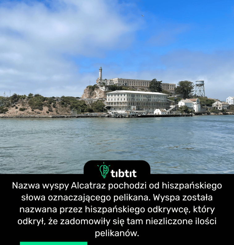 Nazwa wyspy Alcatraz pochodzi od hiszpańskiego słowa oznaczającego pelikana. Wyspa została nazwana przez hiszpańskiego odkrywcę, który odkrył, że zadomowiły się tam niezliczone ilości pelikanów.