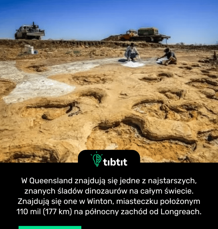 W Queensland znajdują się jedne z najstarszych, znanych śladów dinozaurów na całym świecie. Znajdują się one w Winton, miasteczku położonym 110 mil (177 km) na północny zachód od Longreach.