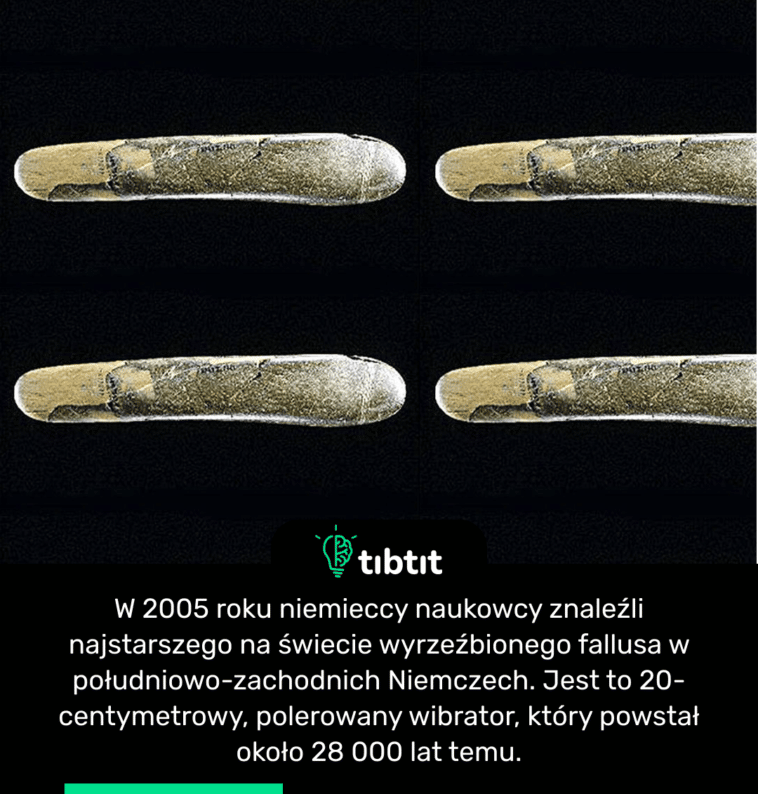 W 2005 roku niemieccy naukowcy znaleźli najstarszego na świecie wyrzeźbionego fallusa w południowo-zachodnich Niemczech. Jest to 20-centymetrowy, polerowany wibrator, który powstał około 28 000 lat temu.