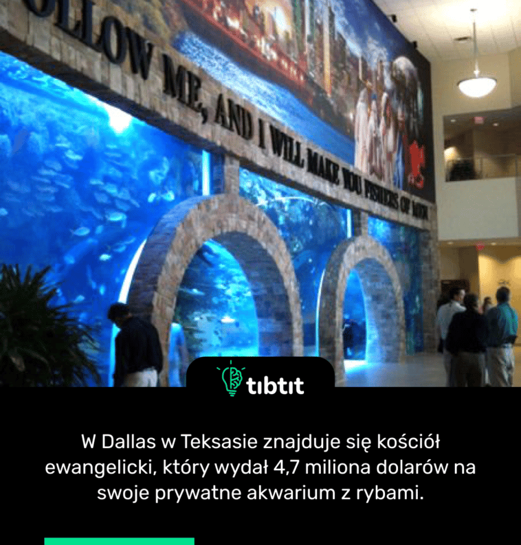 W Dallas w Teksasie znajduje się kościół ewangelicki, który wydał 4,7 miliona dolarów na swoje prywatne akwarium z rybami.