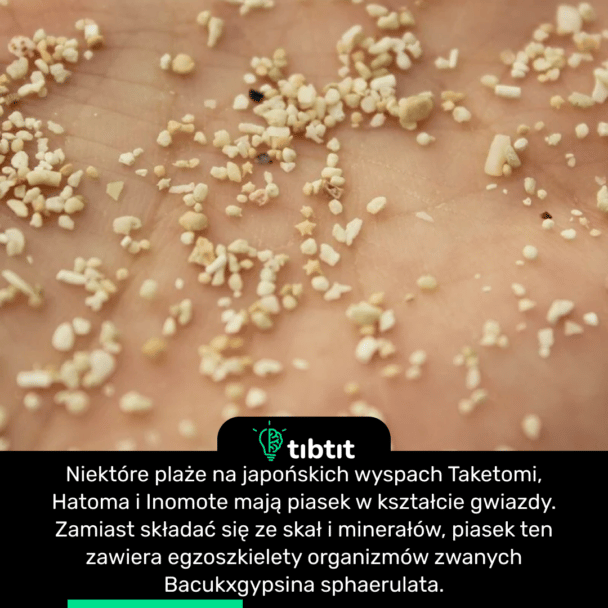 Niektóre plaże na japońskich wyspach Taketomi, Hatoma i Inomote mają piasek w kształcie gwiazdy. Zamiast składać się ze skał i minerałów, piasek ten zawiera egzoszkielety organizmów zwanych Bacukxgypsina sphaerulata.