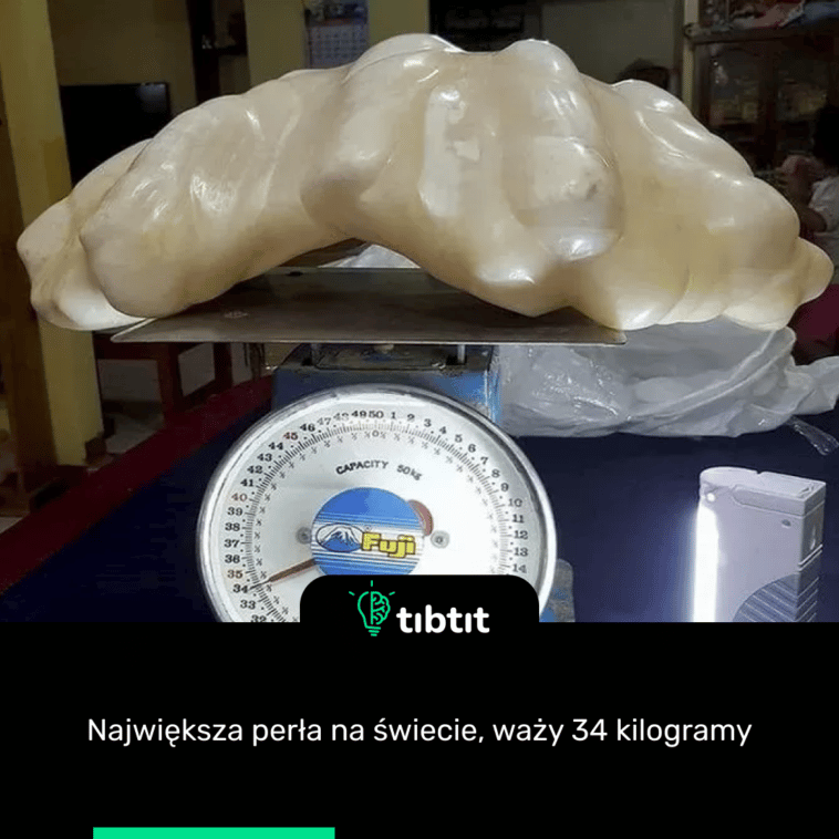 Największa perła na świecie, waży 34 kilogramy