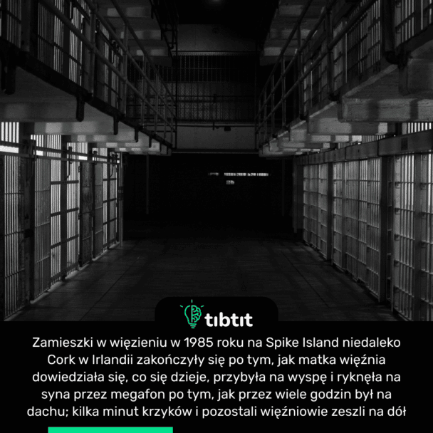 Zamieszki w więzieniu w 1985 roku na Spike Island niedaleko Cork w Irlandii zakończyły się po tym, jak matka więźnia dowiedziała się, co się dzieje, przybyła na wyspę i ryknęła na syna przez megafon po tym, jak przez wiele godzin był na dachu; kilka minut krzyków i pozostali więźniowie zeszli na dół