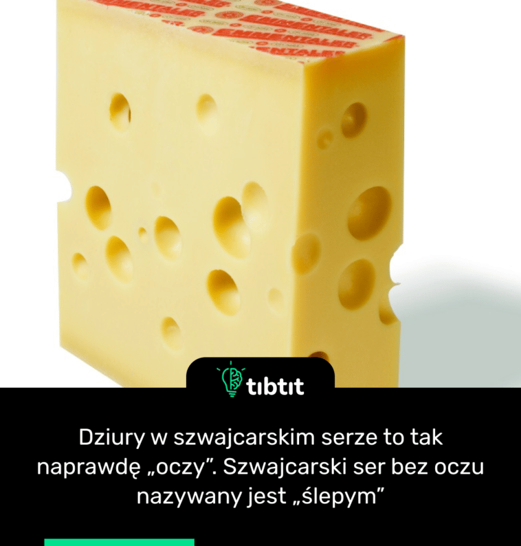 Dziury w szwajcarskim serze to tak naprawdę „oczy”. Szwajcarski ser bez oczu nazywany jest „ślepym”