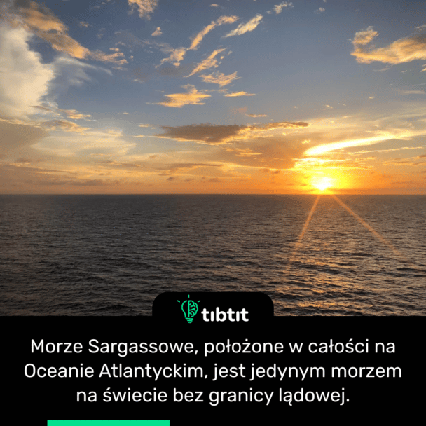 Morze Sargassowe, położone w całości na Oceanie Atlantyckim, jest jedynym morzem na świecie bez granicy lądowej.