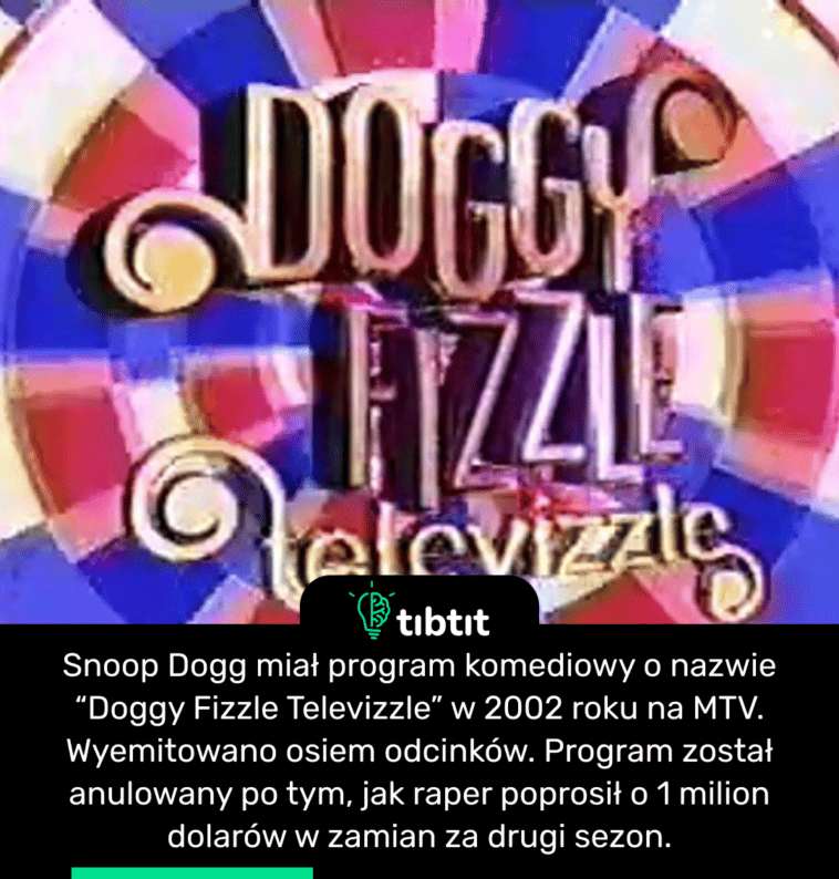 Snoop Dogg miał program komediowy o nazwie “Doggy Fizzle Televizzle” w 2002 roku na MTV. Wyemitowano osiem odcinków. Program został anulowany po tym, jak raper poprosił o 1 milion dolarów w zamian za drugi sezon.