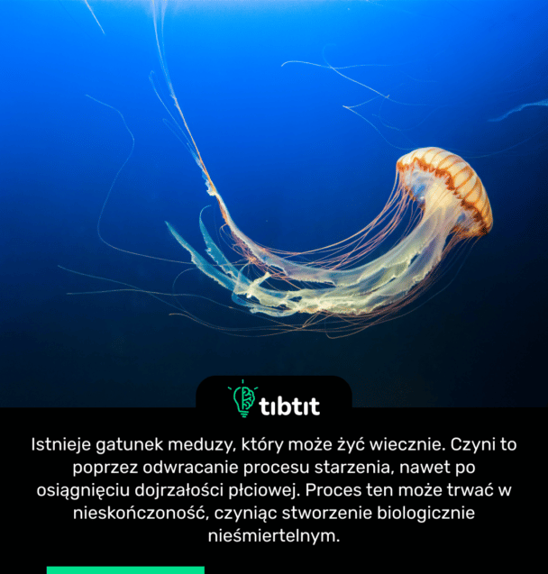 Istnieje gatunek meduzy, który może żyć wiecznie. Czyni to poprzez odwracanie procesu starzenia, nawet po osiągnięciu dojrzałości płciowej. Proces ten może trwać w nieskończoność, czyniąc stworzenie biologicznie nieśmiertelnym.