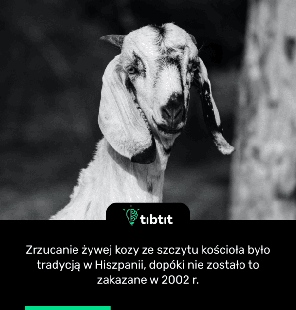 Zrzucanie żywej kozy ze szczytu kościoła było tradycją w Hiszpanii, dopóki nie zostało to zakazane w 2002 r.