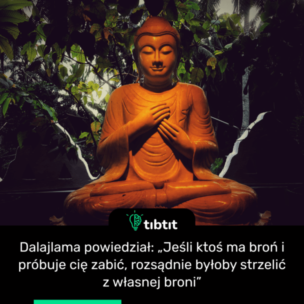 Dalajlama powiedział: „Jeśli ktoś ma broń i próbuje cię zabić, rozsądnie byłoby strzelić z własnej broni”