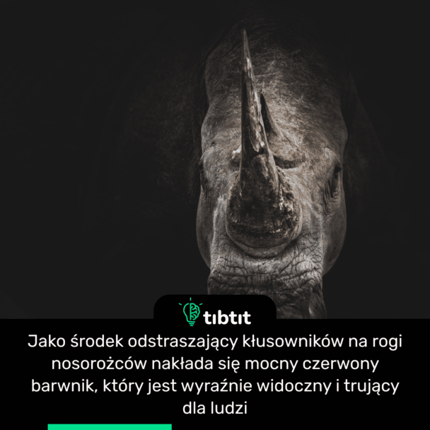 Jako środek odstraszający kłusowników na rogi nosorożców nakłada się mocny czerwony barwnik, który jest wyraźnie widoczny i trujący dla ludzi