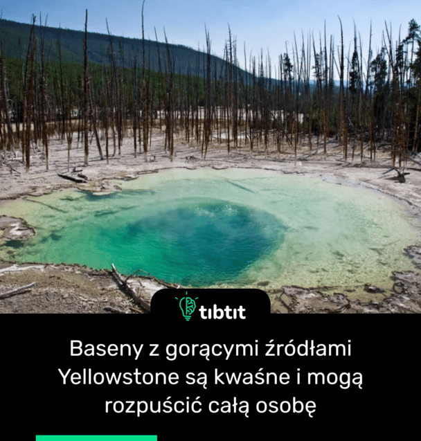Baseny z gorącymi źródłami Yellowstone są kwaśne i mogą rozpuścić całą osobę