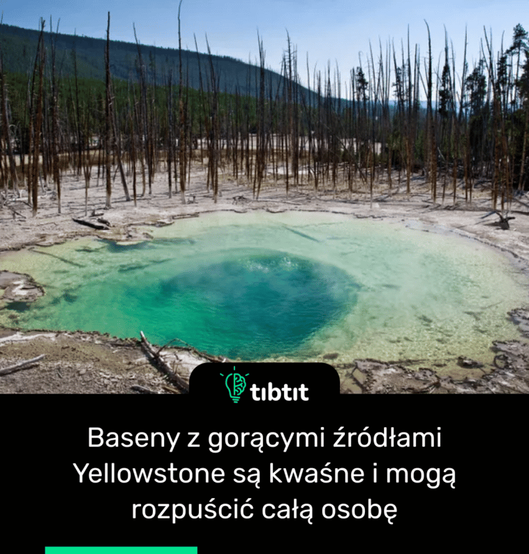 Baseny z gorącymi źródłami Yellowstone są kwaśne i mogą rozpuścić całą osobę