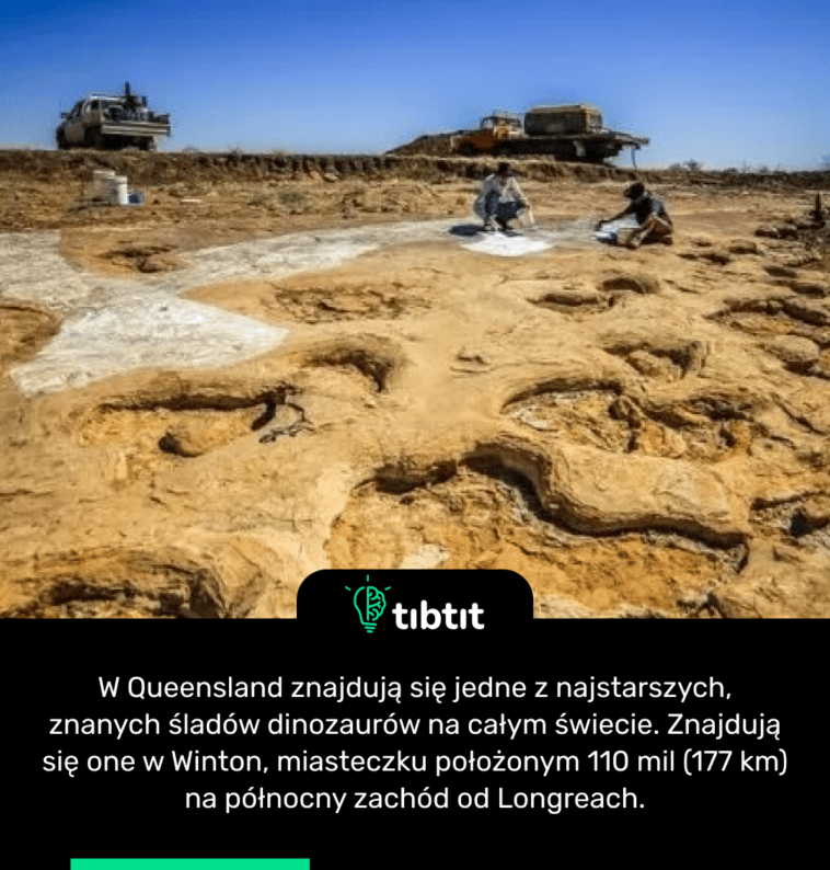 W Queensland znajdują się jedne z najstarszych, znanych śladów dinozaurów na całym świecie. Znajdują się one w Winton, miasteczku położonym 110 mil (177 km) na północny zachód od Longreach.