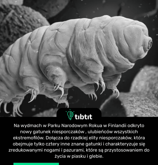 Na wydmach w Parku Narodowym Rokua w Finlandii odkryto nowy gatunek niesporczaków , ulubieńców wszystkich ekstremofilów. Dołącza do rzadkiej elity niesporczaków, która obejmuje tylko cztery inne znane gatunki i charakteryzuje się zredukowanymi nogami i pazurami, które są przystosowaniem do życia w piasku i glebie.