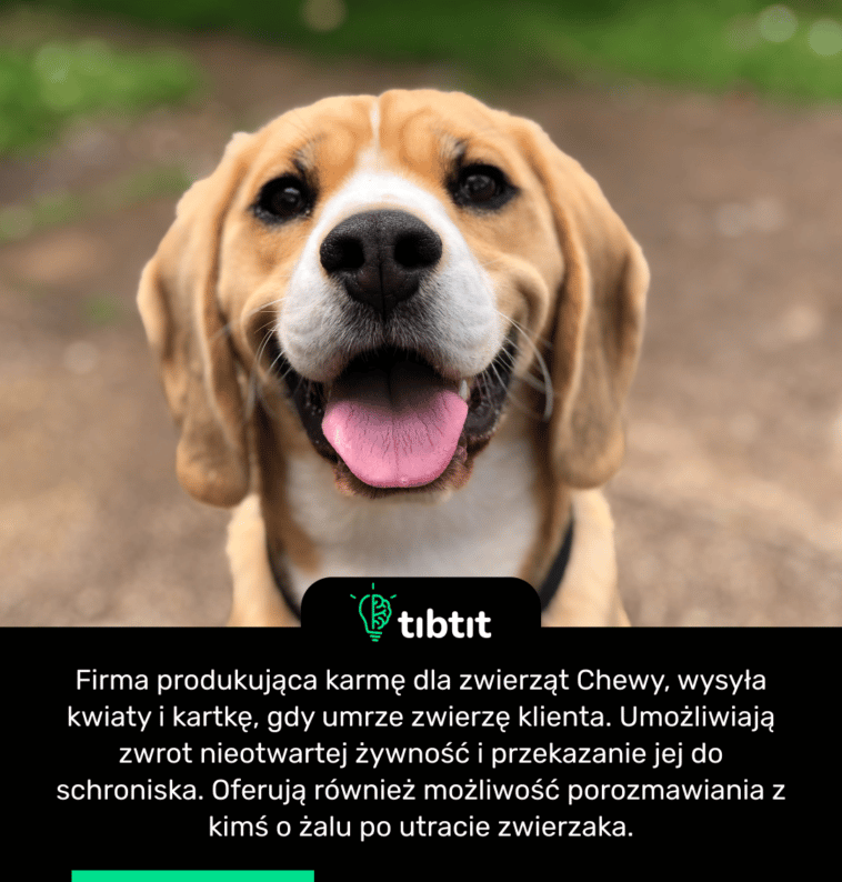 Firma produkująca karmę dla zwierząt Chewy, wysyła kwiaty i kartkę, gdy umrze zwierzę klienta. Umożliwiają zwrot nieotwartej żywność i przekazanie jej do schroniska. Oferują również możliwość porozmawiania z kimś o żalu po utracie zwierzaka.