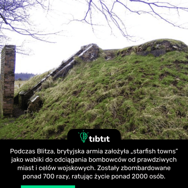 Podczas Blitza, brytyjska armia założyła „starfish towns” jako wabiki do odciągania bombowców od prawdziwych miast i celów wojskowych. Zostały zbombardowane ponad 700 razy, ratując życie ponad 2000 osób.