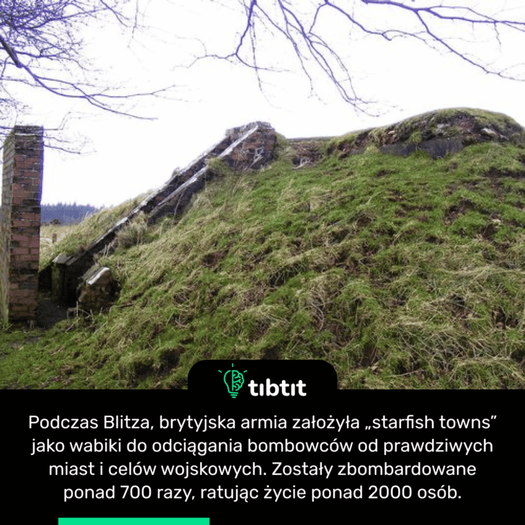 Podczas Blitza, brytyjska armia założyła „starfish towns” jako wabiki do odciągania bombowców od prawdziwych miast i celów wojskowych. Zostały zbombardowane ponad 700 razy, ratując życie ponad 2000 osób.