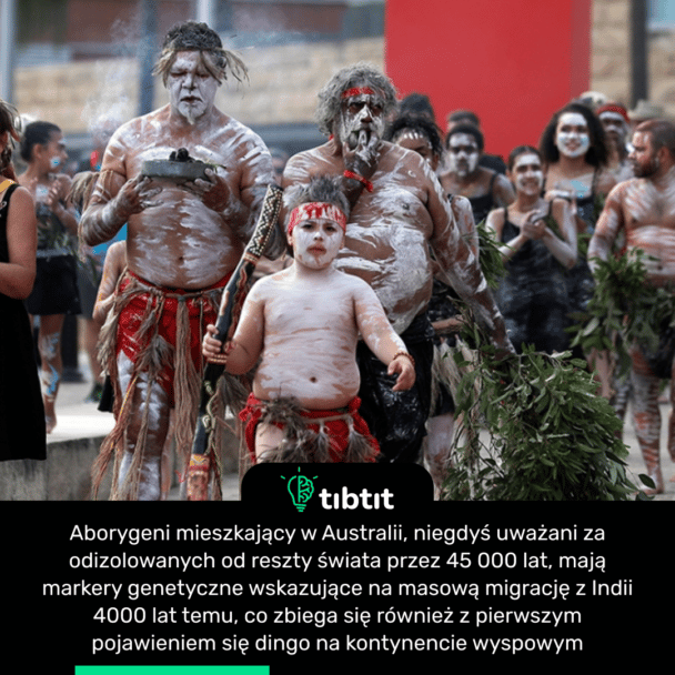 Aborygeni mieszkający w Australii, niegdyś uważani za odizolowanych od reszty świata przez 45 000 lat, mają markery genetyczne wskazujące na masową migrację z Indii 4000 lat temu, co zbiega się również z pierwszym pojawieniem się dingo na kontynencie wyspowym