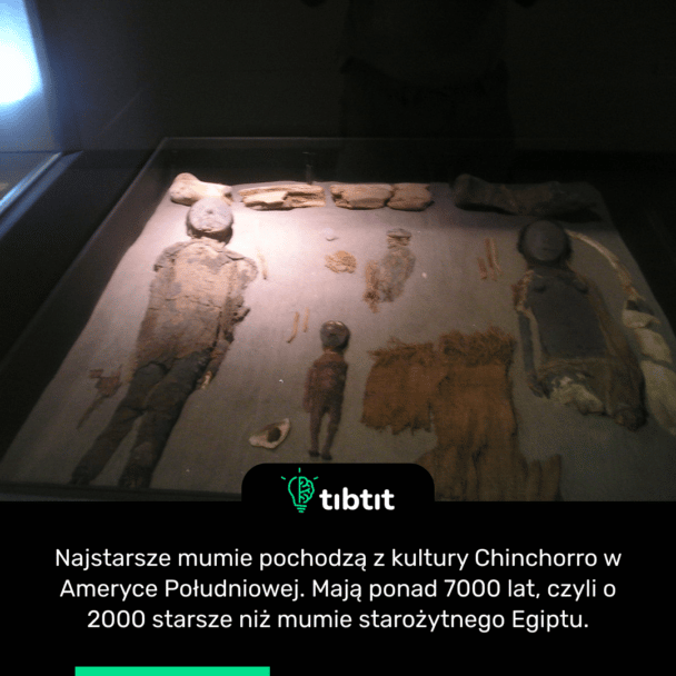 Najstarsze mumie pochodzą z kultury Chinchorro w Ameryce Południowej. Mają ponad 7000 lat, czyli o 2000 starsze niż mumie starożytnego Egiptu.