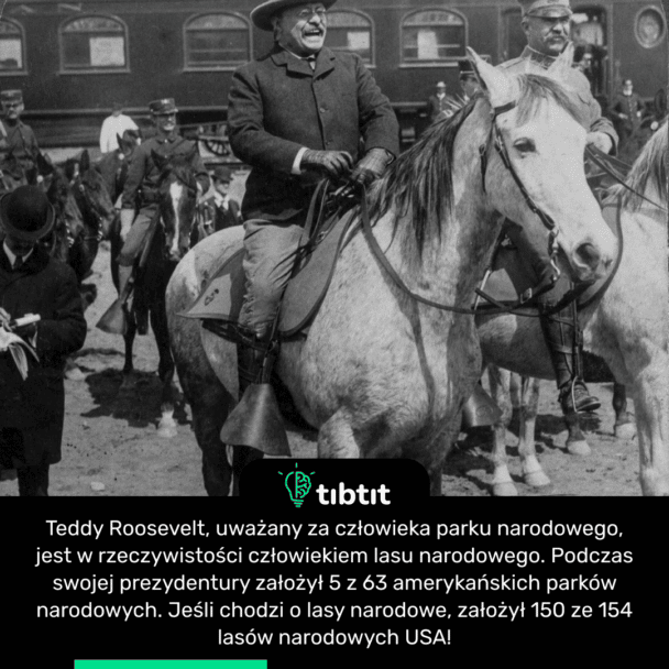 Teddy Roosevelt, uważany za człowieka parku narodowego, jest w rzeczywistości człowiekiem lasu narodowego. Podczas swojej prezydentury założył 5 z 63 amerykańskich parków narodowych. Jeśli chodzi o lasy narodowe, założył 150 ze 154 lasów narodowych USA!