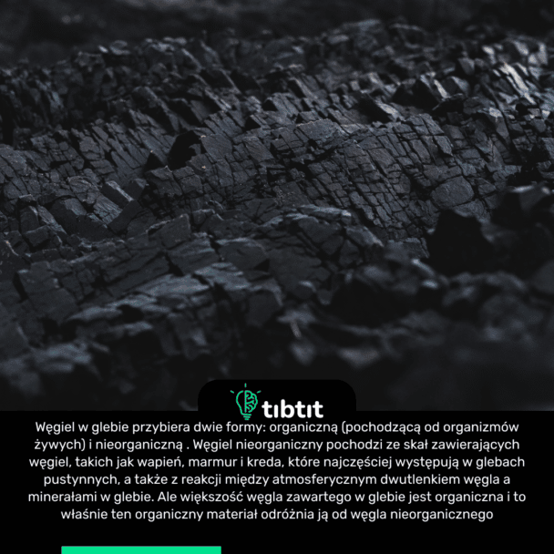 Węgiel w glebie przybiera dwie formy: organiczną (pochodzącą od organizmów żywych) i nieorganiczną . Węgiel nieorganiczny pochodzi ze skał zawierających węgiel, takich jak wapień, marmur i kreda, które najczęściej występują w glebach pustynnych, a także z reakcji między atmosferycznym dwutlenkiem węgla a minerałami w glebie. Ale większość węgla zawartego w glebie jest organiczna i to właśnie ten organiczny materiał odróżnia ją od węgla nieorganicznego