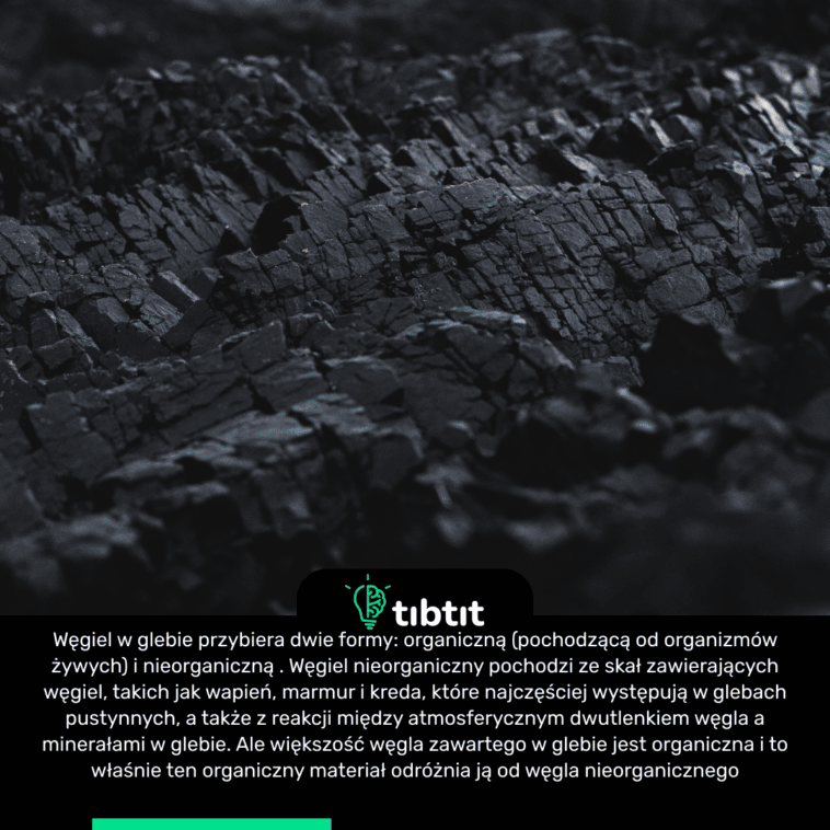 Węgiel w glebie przybiera dwie formy: organiczną (pochodzącą od organizmów żywych) i nieorganiczną . Węgiel nieorganiczny pochodzi ze skał zawierających węgiel, takich jak wapień, marmur i kreda, które najczęściej występują w glebach pustynnych, a także z reakcji między atmosferycznym dwutlenkiem węgla a minerałami w glebie. Ale większość węgla zawartego w glebie jest organiczna i to właśnie ten organiczny materiał odróżnia ją od węgla nieorganicznego
