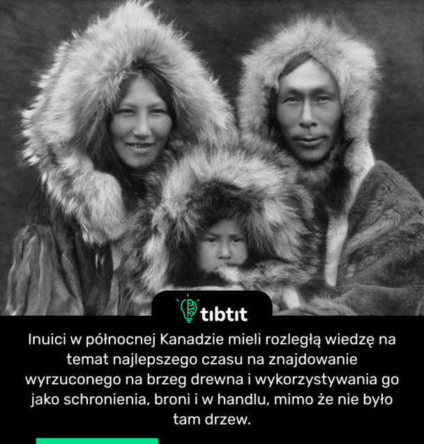 Inuici w północnej Kanadzie mieli rozległą wiedzę na temat najlepszego czasu na znajdowanie wyrzuconego na brzeg drewna i wykorzystywania go jako schronienia, broni i w handlu, mimo że nie było tam drzew.